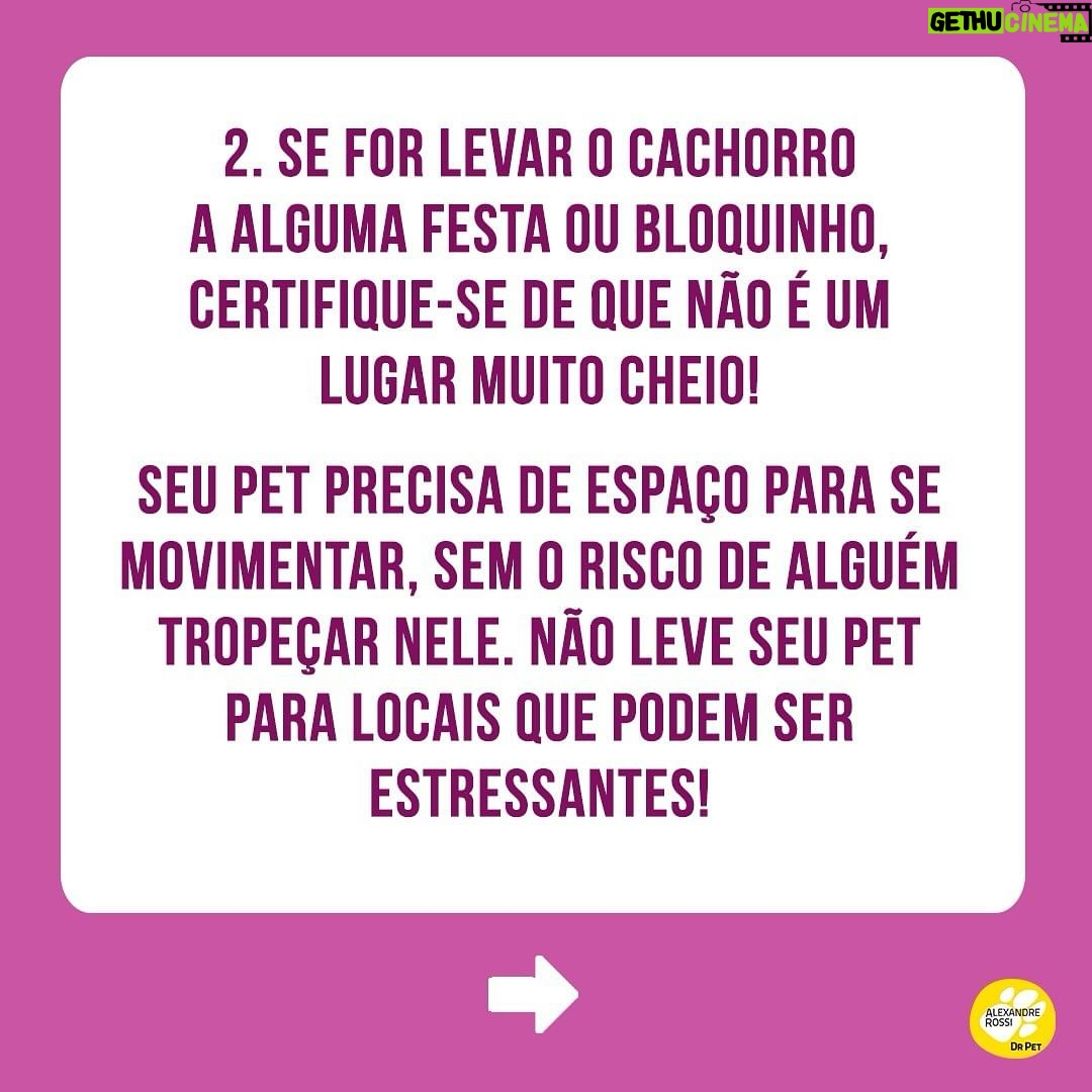 Alexandre Rossi Instagram - Muitas pessoas gostam de incluir os pets na folia do carnaval (e em outras comemorações) e me perguntam sobre o que penso disso! A minha opinião é que quanto mais a gente puder integrar os animais no nosso dia a dia, melhor! Mas, a gente nunca pode se esquecer de que o bem-estar deles vêm em primeiro lugar, e que a experiência precisa ser legal e saudável para eles. Então, aqui vão algumas dicas para os cuidados no carnaval. ⠀⠀⠀⠀⠀⠀⠀⠀ Ótimo carnaval a todos! #DrPet #adestramentointeligente #ComportamentoAnimal #DrPet #Cachorro #Gato #CarnavalComPets