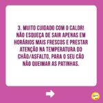 Alexandre Rossi Instagram - Muitas pessoas gostam de incluir os pets na folia do carnaval (e em outras comemorações) e me perguntam sobre o que penso disso! A minha opinião é que quanto mais a gente puder integrar os animais no nosso dia a dia, melhor! Mas, a gente nunca pode se esquecer de que o bem-estar deles vêm em primeiro lugar, e que a experiência precisa ser legal e saudável para eles. Então, aqui vão algumas dicas para os cuidados no carnaval. ⠀⠀⠀⠀⠀⠀⠀⠀ Ótimo carnaval a todos! #DrPet #adestramentointeligente #ComportamentoAnimal #DrPet #Cachorro #Gato #CarnavalComPets