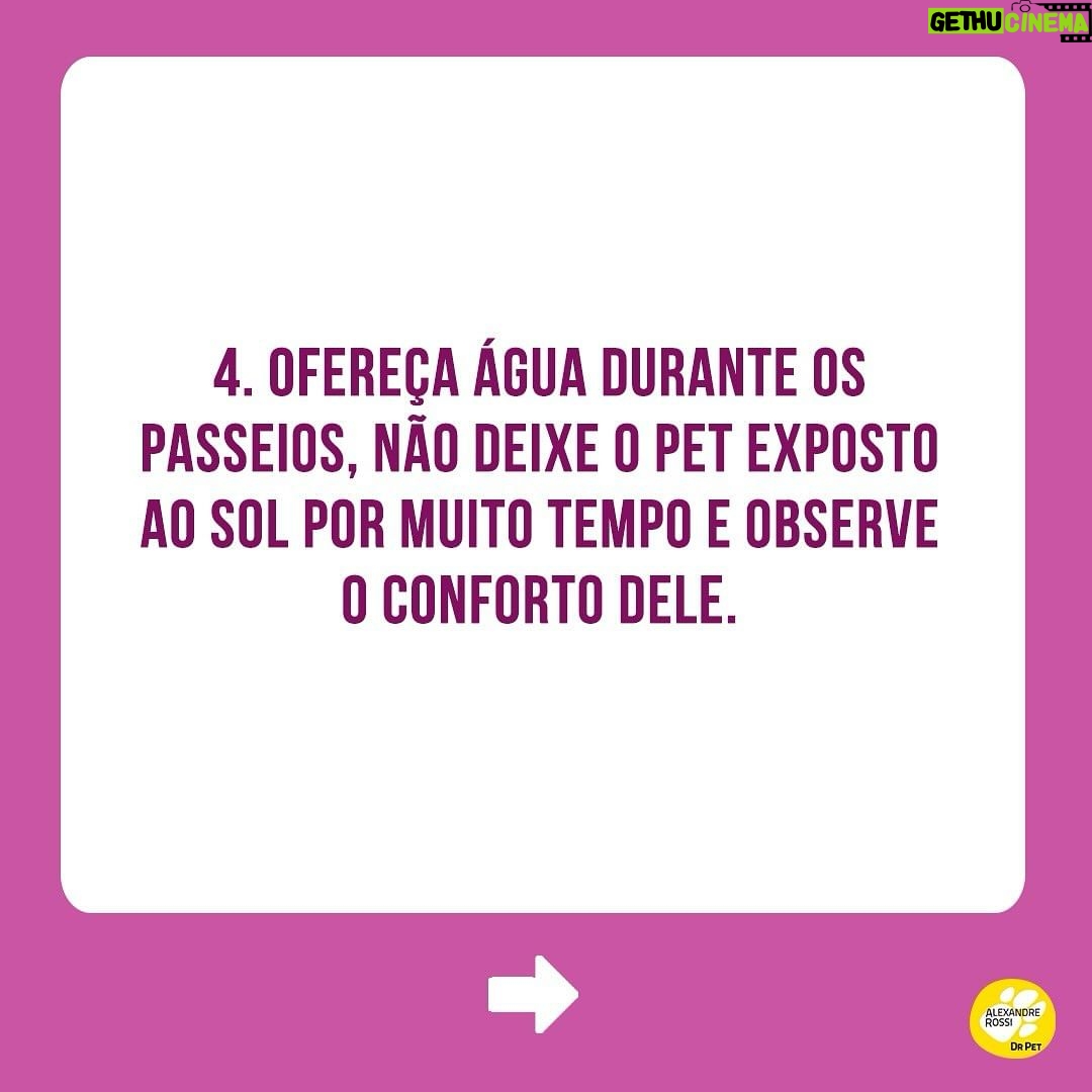 Alexandre Rossi Instagram - Muitas pessoas gostam de incluir os pets na folia do carnaval (e em outras comemorações) e me perguntam sobre o que penso disso! A minha opinião é que quanto mais a gente puder integrar os animais no nosso dia a dia, melhor! Mas, a gente nunca pode se esquecer de que o bem-estar deles vêm em primeiro lugar, e que a experiência precisa ser legal e saudável para eles. Então, aqui vão algumas dicas para os cuidados no carnaval. ⠀⠀⠀⠀⠀⠀⠀⠀ Ótimo carnaval a todos! #DrPet #adestramentointeligente #ComportamentoAnimal #DrPet #Cachorro #Gato #CarnavalComPets
