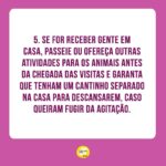 Alexandre Rossi Instagram - Muitas pessoas gostam de incluir os pets na folia do carnaval (e em outras comemorações) e me perguntam sobre o que penso disso! A minha opinião é que quanto mais a gente puder integrar os animais no nosso dia a dia, melhor! Mas, a gente nunca pode se esquecer de que o bem-estar deles vêm em primeiro lugar, e que a experiência precisa ser legal e saudável para eles. Então, aqui vão algumas dicas para os cuidados no carnaval. ⠀⠀⠀⠀⠀⠀⠀⠀ Ótimo carnaval a todos! #DrPet #adestramentointeligente #ComportamentoAnimal #DrPet #Cachorro #Gato #CarnavalComPets