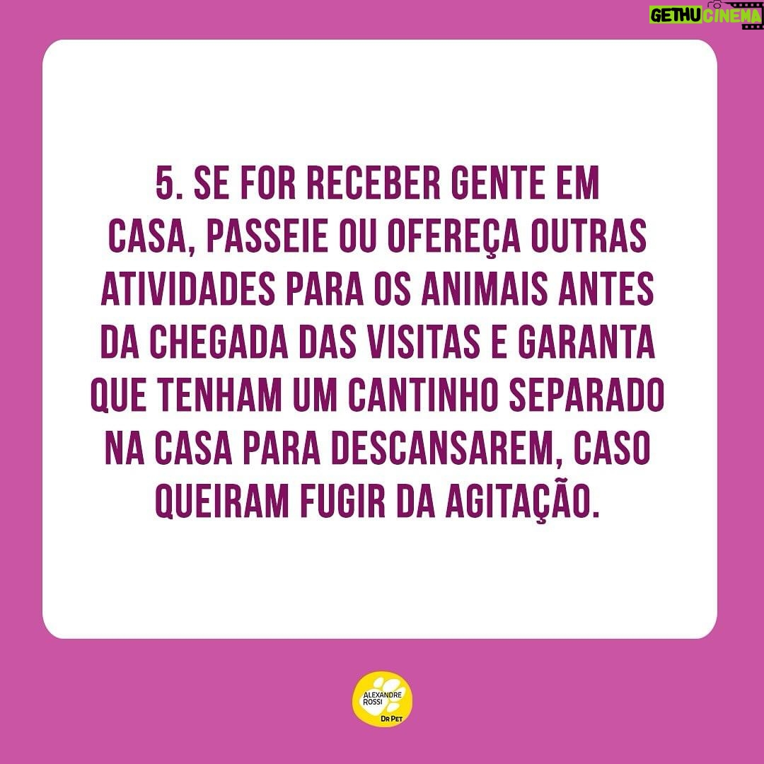 Alexandre Rossi Instagram - Muitas pessoas gostam de incluir os pets na folia do carnaval (e em outras comemorações) e me perguntam sobre o que penso disso! A minha opinião é que quanto mais a gente puder integrar os animais no nosso dia a dia, melhor! Mas, a gente nunca pode se esquecer de que o bem-estar deles vêm em primeiro lugar, e que a experiência precisa ser legal e saudável para eles. Então, aqui vão algumas dicas para os cuidados no carnaval. ⠀⠀⠀⠀⠀⠀⠀⠀ Ótimo carnaval a todos! #DrPet #adestramentointeligente #ComportamentoAnimal #DrPet #Cachorro #Gato #CarnavalComPets