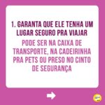 Alexandre Rossi Instagram - O Carnaval está chegando e me conta: está planejando uma viagem com seu pet? Alguns pontos são essenciais para garantir o conforto e segurança do seu animal. Eu viajo sempre que posso com os pets e o bem-estar deles é sempre a minha prioridade. Por isso, vim contar pra vocês algumas dicas importantes pra garantir uma viagem segura! ➡ Quer aprender a acostumar seu pet com a caixa de transporte e outras formas de mantê-lo seguro em passeios e viagens? Vem ser meu aluno no meu curso de filhotes ou de cães adultos. Link na bio! Te espero nas aulas 😉 : #drpet #alexandrerossi #comportamentoanimal #estopinha #viagemcompets