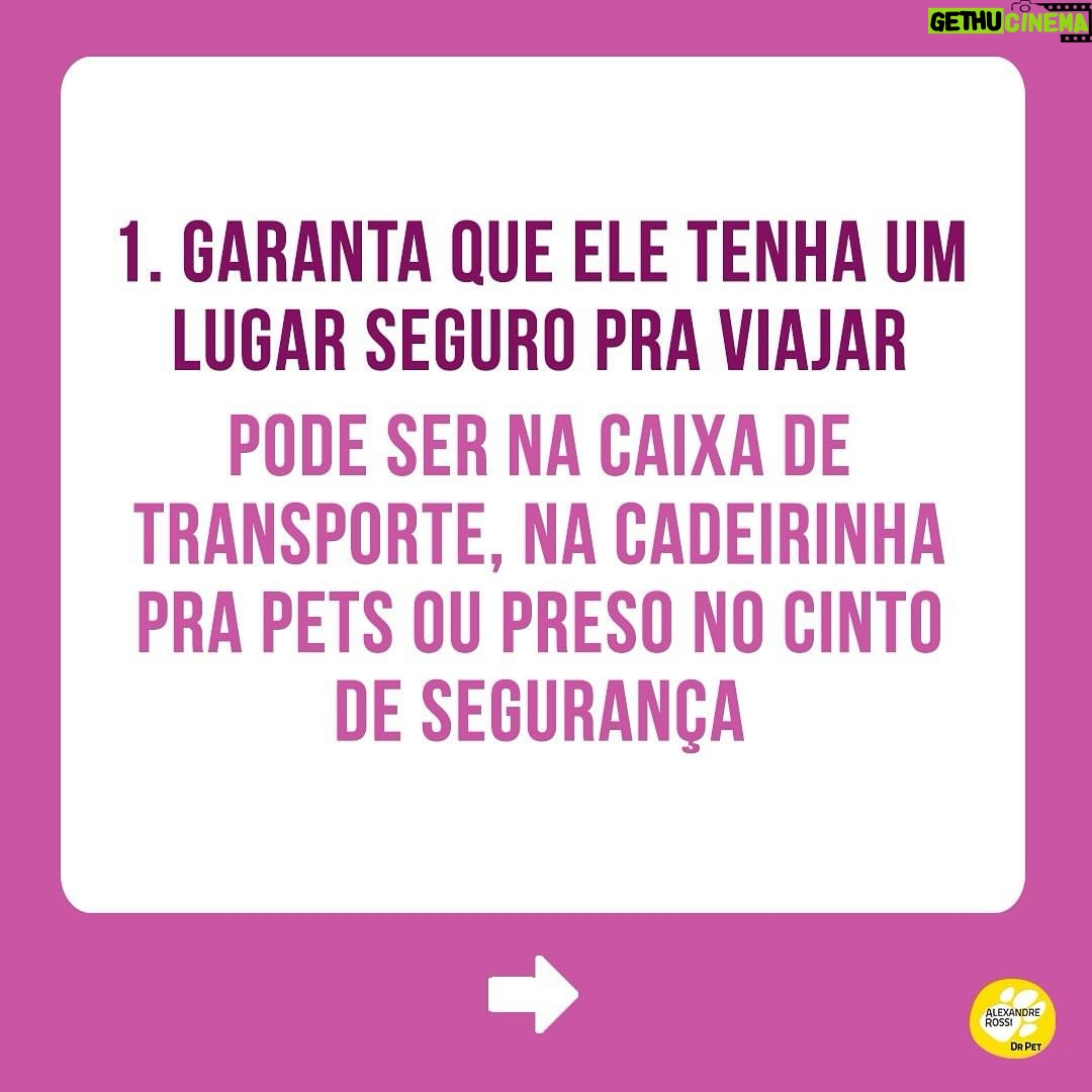 Alexandre Rossi Instagram - O Carnaval está chegando e me conta: está planejando uma viagem com seu pet? Alguns pontos são essenciais para garantir o conforto e segurança do seu animal. Eu viajo sempre que posso com os pets e o bem-estar deles é sempre a minha prioridade. Por isso, vim contar pra vocês algumas dicas importantes pra garantir uma viagem segura! ➡ Quer aprender a acostumar seu pet com a caixa de transporte e outras formas de mantê-lo seguro em passeios e viagens? Vem ser meu aluno no meu curso de filhotes ou de cães adultos. Link na bio! Te espero nas aulas 😉 : #drpet #alexandrerossi #comportamentoanimal #estopinha #viagemcompets