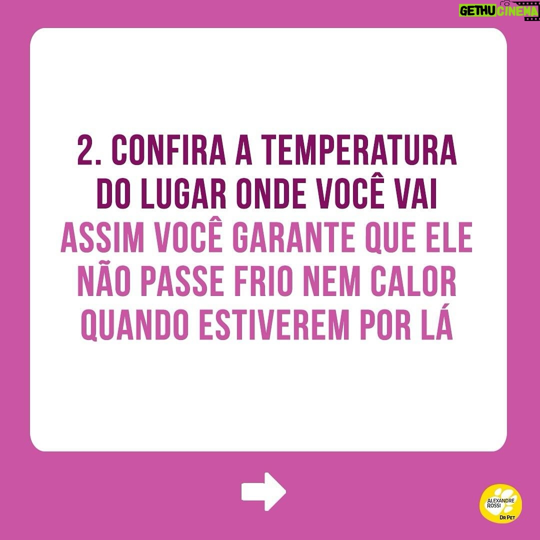 Alexandre Rossi Instagram - O Carnaval está chegando e me conta: está planejando uma viagem com seu pet? Alguns pontos são essenciais para garantir o conforto e segurança do seu animal. Eu viajo sempre que posso com os pets e o bem-estar deles é sempre a minha prioridade. Por isso, vim contar pra vocês algumas dicas importantes pra garantir uma viagem segura! ➡ Quer aprender a acostumar seu pet com a caixa de transporte e outras formas de mantê-lo seguro em passeios e viagens? Vem ser meu aluno no meu curso de filhotes ou de cães adultos. Link na bio! Te espero nas aulas 😉 : #drpet #alexandrerossi #comportamentoanimal #estopinha #viagemcompets