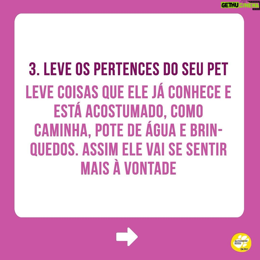 Alexandre Rossi Instagram - O Carnaval está chegando e me conta: está planejando uma viagem com seu pet? Alguns pontos são essenciais para garantir o conforto e segurança do seu animal. Eu viajo sempre que posso com os pets e o bem-estar deles é sempre a minha prioridade. Por isso, vim contar pra vocês algumas dicas importantes pra garantir uma viagem segura! ➡ Quer aprender a acostumar seu pet com a caixa de transporte e outras formas de mantê-lo seguro em passeios e viagens? Vem ser meu aluno no meu curso de filhotes ou de cães adultos. Link na bio! Te espero nas aulas 😉 : #drpet #alexandrerossi #comportamentoanimal #estopinha #viagemcompets