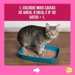 Alexandre Rossi Instagram - A maioria dos gatos costuma acertar a caixa de areia sem nenhum tipo de treino, mas alguns começam a fazer xixi fora da caixa, o que incomoda muito, pois o cheiro da urina deles é forte. Por isso, hoje eu separei 5 dicas que podem te ajudar a evitar esse tipo de situação e cheiro desagradável rs 🐱Quer saber mais sobre cuidados com gatos? Venha conhecer o meu curso on-line “Como cuidar de gatos”, disponível no link da bio. : #alexandrerossi #drpet #adestramentointeligente #pet #comportamentoanimal #bemestaranimal #gatos #comportamentofelino