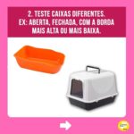 Alexandre Rossi Instagram - A maioria dos gatos costuma acertar a caixa de areia sem nenhum tipo de treino, mas alguns começam a fazer xixi fora da caixa, o que incomoda muito, pois o cheiro da urina deles é forte. Por isso, hoje eu separei 5 dicas que podem te ajudar a evitar esse tipo de situação e cheiro desagradável rs 🐱Quer saber mais sobre cuidados com gatos? Venha conhecer o meu curso on-line “Como cuidar de gatos”, disponível no link da bio. : #alexandrerossi #drpet #adestramentointeligente #pet #comportamentoanimal #bemestaranimal #gatos #comportamentofelino