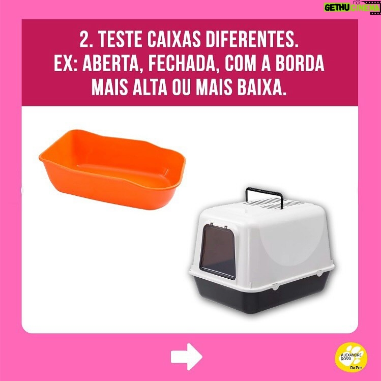 Alexandre Rossi Instagram - A maioria dos gatos costuma acertar a caixa de areia sem nenhum tipo de treino, mas alguns começam a fazer xixi fora da caixa, o que incomoda muito, pois o cheiro da urina deles é forte. Por isso, hoje eu separei 5 dicas que podem te ajudar a evitar esse tipo de situação e cheiro desagradável rs 🐱Quer saber mais sobre cuidados com gatos? Venha conhecer o meu curso on-line “Como cuidar de gatos”, disponível no link da bio. : #alexandrerossi #drpet #adestramentointeligente #pet #comportamentoanimal #bemestaranimal #gatos #comportamentofelino