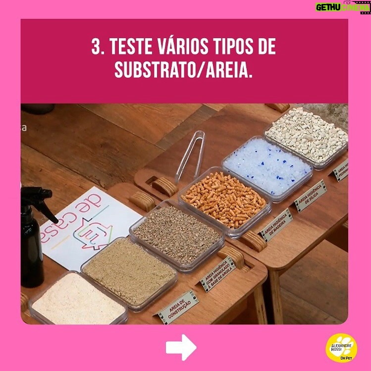 Alexandre Rossi Instagram - A maioria dos gatos costuma acertar a caixa de areia sem nenhum tipo de treino, mas alguns começam a fazer xixi fora da caixa, o que incomoda muito, pois o cheiro da urina deles é forte. Por isso, hoje eu separei 5 dicas que podem te ajudar a evitar esse tipo de situação e cheiro desagradável rs 🐱Quer saber mais sobre cuidados com gatos? Venha conhecer o meu curso on-line “Como cuidar de gatos”, disponível no link da bio. : #alexandrerossi #drpet #adestramentointeligente #pet #comportamentoanimal #bemestaranimal #gatos #comportamentofelino
