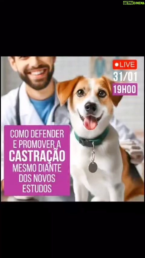 Alexandre Rossi Instagram - A castração tem sido um assunto polêmico ultimamente e que vem dividindo opiniões, principalmente com alguns estudos novos que saíram e alguns sendo contra. Mas sabemos que ela é importante pra sociedade, no controle da superpopulação e abandono de cães. Por isso, quero te convidar pra terceira live da série “CASTRAÇÃO”, pra falarmos um pouquinho de como ela ainda pode trazer vantagens pros cães. ⏰ HOJE, às 19h. Você não pode perder! : #alexandrerossi #drpet #CASTRAÇÃO #castracaodecaes #cachorro #saudeanimal