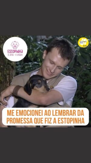 Alexandre Rossi Instagram - Hoje a minha querida Estopinha (@estopinharossi) completaria 15 anos, e é inevitável não lembrar de toda a história dela e de como foi sua chegada e adoção. 

Eu fico muito emocionado lembrando da história e lembrando da promessa que fiz, de cuidar dela até o fim. E saber que eu consegui cumprir me deixa com o coração mais tranquilo e confortado. Mas, claro, ela faz uma falta enorme!

E eu contei um pouco sobre toda história no meu Podcast, que você pode ouvir em qualquer plataforma de áudio. Espero que gostem tanto quanto eu gostei de gravar. 
:
#alexandrerossi #drpet #podcast #adocaoestopinha #estopinha #saudadeestopinha #aniversarioestopinha