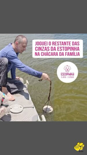 Alexandre Rossi Instagram - Faz 4 meses que a minha querida Estopinha (@estopinharossi) nos deixou, e todos os dias eu sinto saudade dela e das bagunças, de ficar grudadinho nela, de levar ela pra passear, das viagens juntos, e de levar ela pro trabalho comigo. 

E como havia prometido pra mim mesmo que iria homenageá-la espalhando suas cinzas em locais que ela foi muito feliz, chegou a vez de ir pra chácara da família, onde ela se divertiu muito e tenho muitas memórias dela. 

E claro que ela deu um jeito de estar presente, como da última vez que joguei parte das cinzas dela! Parece que fez os outros aprontarem, só pra que eu sentisse que ela estava ali. E, claro, foi aquela mistura de alegria e tristeza que só o luto proporciona.

Obrigado, Estopinha, por todos os momentos que compartilhamos. O papis te ama e sempre vai te amar. Descanse em paz!