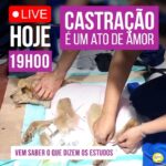 Alexandre Rossi Instagram - Vocês sabem que sempre que posso participo de campanhas de castração, né?! E ano passado fui convidado pela minha querida amiga Claudia do @institutoeusouobicho, pra participar de uma em Iguape/SP. E apesar do tema CASTRAÇÃO ter se tornado polêmico, ele é muito importante pra sociedade e controle da superpopulação e abandono de cães. E eu fico muito feliz em poder ajudar em campanhas assim. E por ser um tema tão importante e que gera duvidas, vou fazer mais uma live sobre o assunto HOJE! ⏰ HOJE (25/01), às 19h. Você não pode perder! : #alexandrerossi #drpet #live #CASTRAÇÃO #castracaodecachorro #castraratodeamor