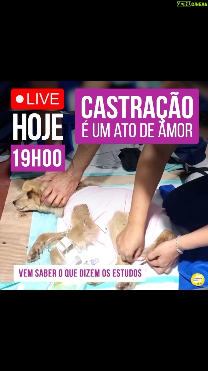 Alexandre Rossi Instagram - Vocês sabem que sempre que posso participo de campanhas de castração, né?! E ano passado fui convidado pela minha querida amiga Claudia do @institutoeusouobicho, pra participar de uma em Iguape/SP. E apesar do tema CASTRAÇÃO ter se tornado polêmico, ele é muito importante pra sociedade e controle da superpopulação e abandono de cães. E eu fico muito feliz em poder ajudar em campanhas assim. E por ser um tema tão importante e que gera duvidas, vou fazer mais uma live sobre o assunto HOJE! ⏰ HOJE (25/01), às 19h. Você não pode perder! : #alexandrerossi #drpet #live #CASTRAÇÃO #castracaodecachorro #castraratodeamor