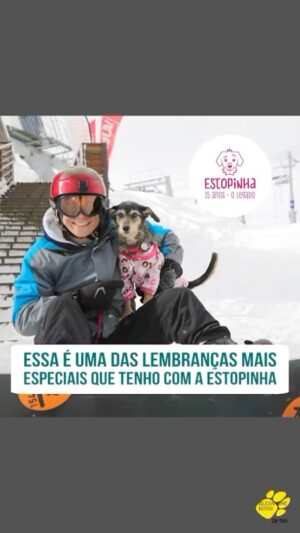 Alexandre Rossi Instagram - Daqui alguns dias era pra nossa querida Estopinha (@estopinharossi) estar completando seus 15 anos, mas infelizmente ela não está mais conosco e essa semana me peguei pensando muito nela e em tudo que vivemos juntos.

E lembrei de algumas viagens que fizemos juntos, inclusive uma que fomos pro Chile e brincou muito na neve, correndo de um lado pro outro, e sendo aquela espoleta que conhecemos, rs. 

E pra homenagear ela e amenizar um pouco essa saudade, gravei um Podcast falando sobre nossas viagens e como foi tudo. E se você quiser matar um pouco dessa saudade também, consegue ouvir o Podcast Dr Pet em qualquer plataforma de áudio. 
:
#alexandrerossi #drpet #podcastestopinha #estopinha #aniversarioestopinha #saudade