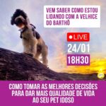 Alexandre Rossi Instagram - A maioria das pessoas fica superpreocupada com o envelhecimento do pet, afinal, queremos que eles vivam bem e quanto mais melhor, rs. E por aqui não é diferente, pois tenho notado alguns sinais de envelhecimento no @barthooficial e também passei por isso com a @estopinharossi. Então resolvi fazer uma live quarta-feira (24/01), pra falar um pouco sobre a velhice dos pets e o que podemos fazer pra ela ser o mais tranquila possível. Espero vocês! ⏰ 24/01, às 18h30. : #alexandrerossi #drpet #velhicecanina #petidoso #liveenvelhecimentocanino