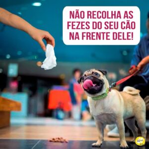 Alexandre Rossi Instagram - Você sabia que recolher o cocô na frente do seu cão pode torná-lo muito interessante pra ele?

É isso mesmo! Quando seu cão faz cocô em CASA e você sai correndo pra recolher, ele pode entender que o cocô é algo muito importante, afinal, tá todo mundo “querendo pegar”. Isso pode levá-lo a começar a comer as próprias fezes ou até pegar na boca e levar até você, pra que você veja que ele “pegou antes”. 

Por isso, o ideal é que você evite ao máximo sair correndo e/ou recolher na frente do seu cão. Em vez disso, depois que ele fizer cocô, chame-o pra perto de você e dê um petisco. Espere ele esquecer das fezes e depois vá recolher, sem “disputar”. 

Essa não é a única causa de coprofagia (que é ato de comer cocô), mas é um dos motivos principais que levam a esse comportamento. 

➡️ E se o seu cão tem o hábito de comer as próprias fezes, vem entender melhor e saber como diminuir esse comportamento de uma vez por todas no meu curso sobre isso. O link está na bio.
: 
#alexandrerossi #drpet #comportamentoanimal #cachorro #coprofagia #cachorrocomendococô