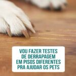 Alexandre Rossi Instagram - Você sabia que existem formas de saber se o piso é escorregadio ou não pro seu pet? A maioria dos pets costuma escorregar no piso frio e isso pode acarretar em problemas articulares e ósseos no futuro. E com esse teste você pode saber se o piso que vai escolher é escorregadio ou não, e se o seu for pode pensar em outros meios do pet não escorregar, como unhas postiças ou tapetes. E eu quero fazer um estudo sobre o assunto. Vem saber mais no vídeo! : #alexandrerossi #drpet #pisoescorregadio #pisoprapet #saudeanimal #bemestaranimal
