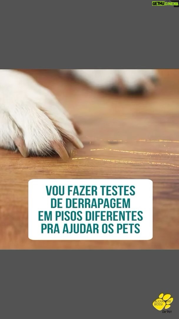 Alexandre Rossi Instagram - Você sabia que existem formas de saber se o piso é escorregadio ou não pro seu pet? A maioria dos pets costuma escorregar no piso frio e isso pode acarretar em problemas articulares e ósseos no futuro. E com esse teste você pode saber se o piso que vai escolher é escorregadio ou não, e se o seu for pode pensar em outros meios do pet não escorregar, como unhas postiças ou tapetes. E eu quero fazer um estudo sobre o assunto. Vem saber mais no vídeo! : #alexandrerossi #drpet #pisoescorregadio #pisoprapet #saudeanimal #bemestaranimal