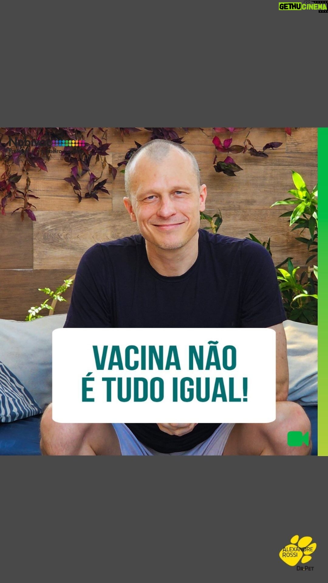 Alexandre Rossi Instagram - A vacina é uma das coisas que nos ajuda a melhorar a saúde dos pets e a nossa também, prevenindo inúmeras doenças. Mas existem muitas dúvidas sobre o assunto e quais vacinas são seguras. Por isso, hoje eu trouxe alguns pontos importantes que você deve se atentar sobre a vacina que vai dar no seu pet: 1. Deve ser feito um protocolo individual pra cada animal, de acordo com a necessidade dele; 2. A vacina deve ser um produto que usa tecnologias precisas na fabricação e também deve ser testado, assim como as vacinas da Nobivac, da @msdfamiliapet; 3. A vacina deve estar dentro da data de validade e ser conservada e transportada em determinada temperatura. Confira como elas funcionam e mais dicas no vídeo! : #alexandrerossi #drpet #vacinas #saudeanimal #msdsaudeanimal #nobivac #msdfamiliapet