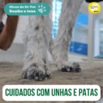 Alexandre Rossi Instagram - Se seu pet costuma escorregar e derrapar enquanto anda ou corre em casa, saiba que tem um jeito de melhorar isso! Pra isso, é importante mantermos as unhas cortadas e os pelos que eles tem embaixo das patas aparado. Então aproveitei que estava levando o @barthooficial e o Bruno pro Banho & Tosa na @petz pra já demonstrar como fazer! Vem conferir! : #alexandrerossi #drpet #saudeanimal #bemestaranimal #cachorro #pisoescorregadio
