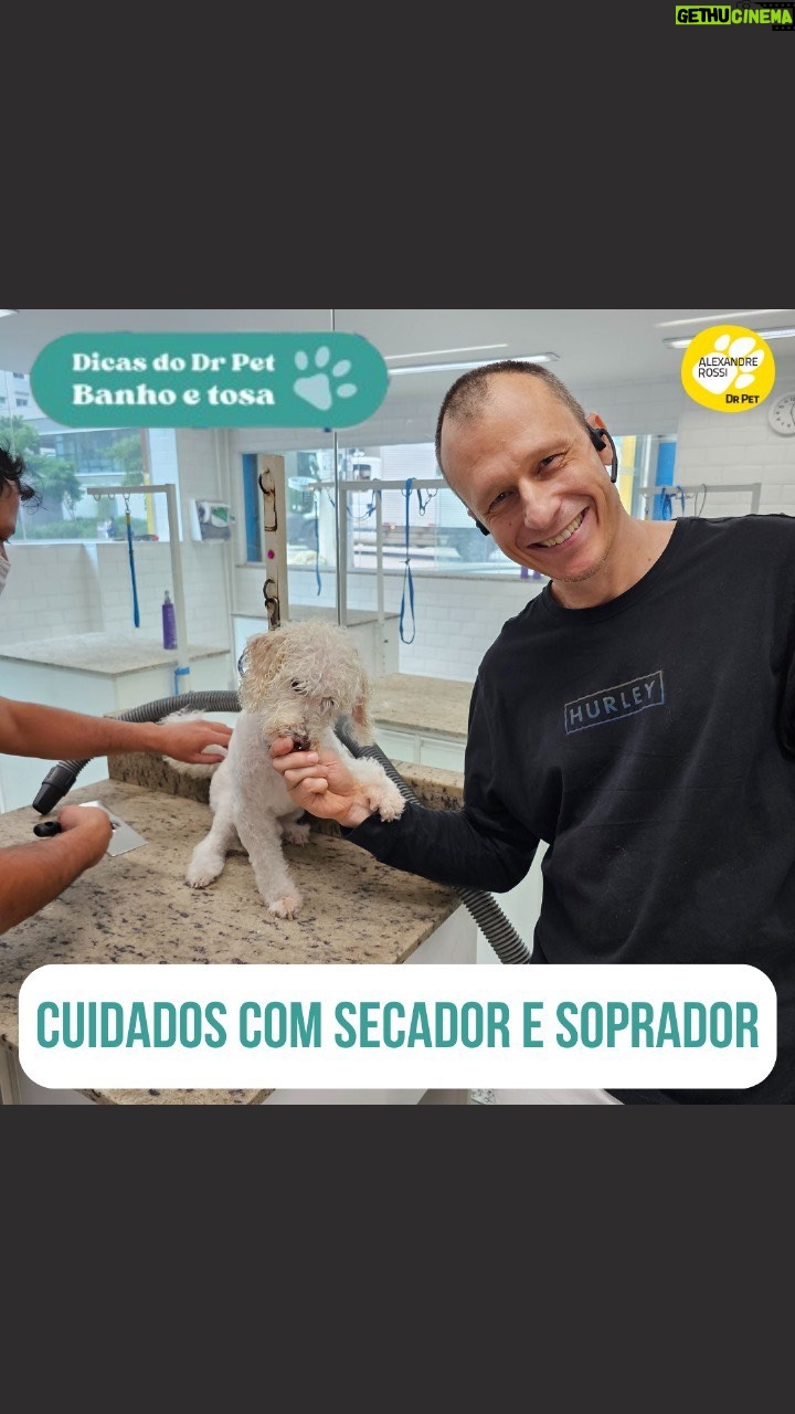 Alexandre Rossi Instagram - Você costuma dar banho no seu pet ou leva ele pra tomar banho em algum lugar? Eu sempre trago o @barthooficial e o Bruno pro Banho & Tosa na @petz. E hoje aproveitei pra trazer um assunto importante pra vocês: você já reparou se seu pet se sente bem com o secador e soprador? Pois é, muitos tutores nem sabem, mas o pet pode ter medo desses equipamentos por conta do barulho que fazem e até do vento que é jogado na direção deles. Então uma dica importante é dar um petisco enquanto o equipamento está ligado, e ver se seu pet aceita, se sim, sinal que ele pode estar tranquilo e não vai se estressar tanto durante a secagem. Vem saber mais no vídeo! E já me conta, você já fez esse teste com seu pet? : #alexandrerossi #drpet #banho #banhoetosa #saudeanimal #cuidadoanimal #cachorro