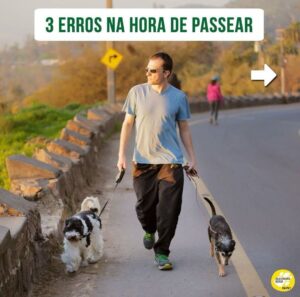 Alexandre Rossi Instagram - Passear com seu cão tem sido difícil? Se sim, saiba que essa é uma dificuldade que a maioria dos tutores enfrenta, e muitos acabam até desistindo de passear. 

Então, hoje vim te contar 3 erros que você pode estar cometendo com seu cão e que podem estar dificultando ainda mais o passeio com ele. 

“Mas, Dr Pet, o que faço então?” Comece ensinando seu cão a passear dentro de casa, colocando o equipamento de passeio e ande dentro de casa; e na hora de sair, espere ele se acalmar pra depois ir pra rua. 

Quer saber mais sobre como ter um cachorro educado? No link da bio, você encontra o acesso aos meus cursos de educação de cães!
: 
#alexandrerossi #drpet #cachorro #puxandonopasseio #passearcomcachorro #adestramentointeligente