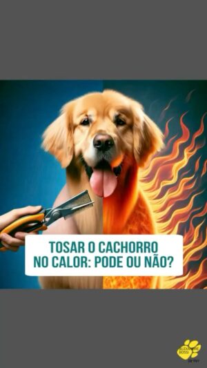 Alexandre Rossi Instagram - O calor chegou e pelo jeito veio pra ficar! 

Por isso, é muito importante tomarmos alguns cuidados pra garantir que nossos pets fiquem mais frescos e protegidos nessas altas temperaturas. E existe uma grande polêmica com relação a tosar ou não o pet.

Então, no Encontro Pet do quadro Encontro com @patriciapoeta de sexta feira eu falei um pouco sobre a tosa e a importância dela pros pets. 

Vem conferir mais no vídeo e já me conta: você já tosou seu pet?
:
#alexandrerossi #drpet #encontrocompatriciapoeta #encontropet #cachorro #gato #saudeanimal #calor