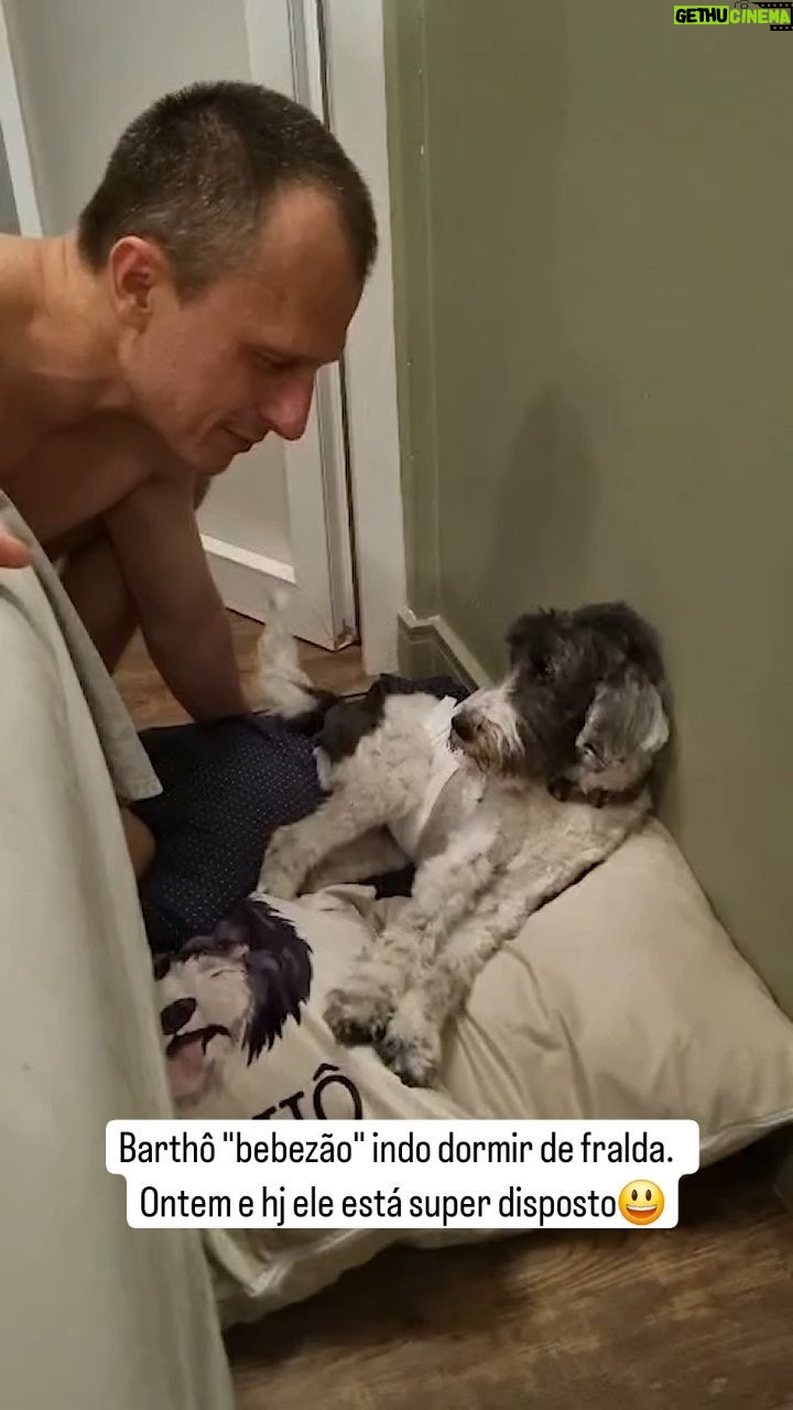 Alexandre Rossi - 90.1K Likes - Notícias do Barrho: Ja se acostumou super bem com a fralda e com as caminhadas no chão. Está super bem disposto e estamos acompanhando de perto o resultado dos vários exames que fizemos. Está tomando corticoide para segurar as inflamações (principalmente do intestino) e probióticos. Fiquei muito assustado com a piora dele, mas já estou mais tranquilo agora. Agradeço tudo carinho e torcida de vcs por ele. É o nosso eterno bebezão!