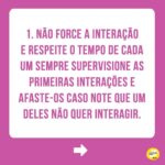 Alexandre Rossi Instagram - Adotar um novo integrante pode ser algo desafiador, ainda mais pra quem já tem um pet em casa e de outra espécie. Afinal, o mais velho provavelmente não pediu alguém pra dividir a casa, a atenção e mudar sua rotina, rs. Por isso, hoje eu trouxe 4 dicas que podem te ajudar a criar uma relação saudável entre seus pets. ➡️E pra saber mais sobre como educar seu pet, vem conferir meus cursos no link da bio. : #alexandreross #drpet #comportamentoanimal #adestramentointeligente #cachorro #gato