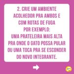 Alexandre Rossi Instagram - Adotar um novo integrante pode ser algo desafiador, ainda mais pra quem já tem um pet em casa e de outra espécie. Afinal, o mais velho provavelmente não pediu alguém pra dividir a casa, a atenção e mudar sua rotina, rs. Por isso, hoje eu trouxe 4 dicas que podem te ajudar a criar uma relação saudável entre seus pets. ➡️E pra saber mais sobre como educar seu pet, vem conferir meus cursos no link da bio. : #alexandreross #drpet #comportamentoanimal #adestramentointeligente #cachorro #gato