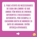 Alexandre Rossi Instagram - Adotar um novo integrante pode ser algo desafiador, ainda mais pra quem já tem um pet em casa e de outra espécie. Afinal, o mais velho provavelmente não pediu alguém pra dividir a casa, a atenção e mudar sua rotina, rs. Por isso, hoje eu trouxe 4 dicas que podem te ajudar a criar uma relação saudável entre seus pets. ➡️E pra saber mais sobre como educar seu pet, vem conferir meus cursos no link da bio. : #alexandreross #drpet #comportamentoanimal #adestramentointeligente #cachorro #gato