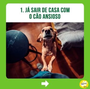 Alexandre Rossi Instagram - Passear com seu cão tem sido difícil? Se sim, saiba que essa é uma dificuldade que a maioria dos tutores enfrenta, e muitos acabam até desistindo de passear. 

Então, hoje vim te contar 3 erros que você pode estar cometendo com seu cão e que podem estar dificultando ainda mais o passeio com ele. 

“Mas, Dr Pet, o que faço então?” Comece ensinando seu cão a passear dentro de casa, colocando o equipamento de passeio e ande dentro de casa; e na hora de sair, espere ele se acalmar pra depois ir pra rua. 

Quer saber mais sobre como ter um cachorro educado? No link da bio, você encontra o acesso aos meus cursos de educação de cães!
: 
#alexandrerossi #drpet #cachorro #puxandonopasseio #passearcomcachorro #adestramentointeligente