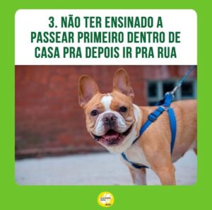 Alexandre Rossi Instagram - Passear com seu cão tem sido difícil? Se sim, saiba que essa é uma dificuldade que a maioria dos tutores enfrenta, e muitos acabam até desistindo de passear. 

Então, hoje vim te contar 3 erros que você pode estar cometendo com seu cão e que podem estar dificultando ainda mais o passeio com ele. 

“Mas, Dr Pet, o que faço então?” Comece ensinando seu cão a passear dentro de casa, colocando o equipamento de passeio e ande dentro de casa; e na hora de sair, espere ele se acalmar pra depois ir pra rua. 

Quer saber mais sobre como ter um cachorro educado? No link da bio, você encontra o acesso aos meus cursos de educação de cães!
: 
#alexandrerossi #drpet #cachorro #puxandonopasseio #passearcomcachorro #adestramentointeligente