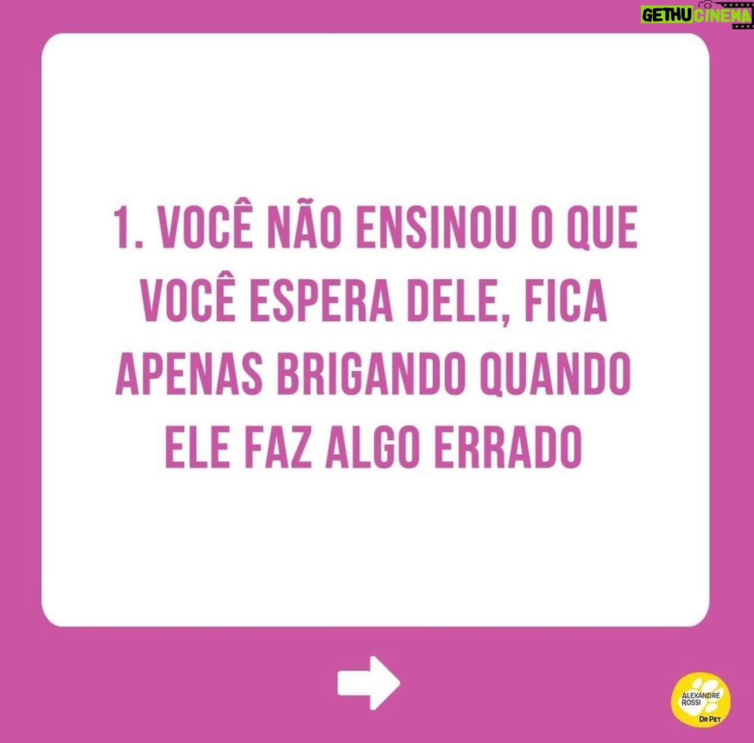 Alexandre Rossi Instagram - E aí, se identificou? rs Pois é, muita gente me procura dizendo que tem um pet desobediente, mas nunca separou um tempo pra educar o pet de uma forma que ele entenda. Precisamos lembrar que eles são como crianças, chegam sem saber o que é certo ou errado, e cabe a nós ensinarmos, com paciência e persistência. Uma dica é: sempre recompense os bons comportamentos do seu pet, de preferência com um petisco. ➡️Quer saber mais sobre como educar seu pet de uma forma simples e eficiente? Vem ser meu aluno no meu curso de educação de cães. O link está bio. : #alexandrerossi #drpet #comportamentoanimal #saudeanimal #alimentosproibidos