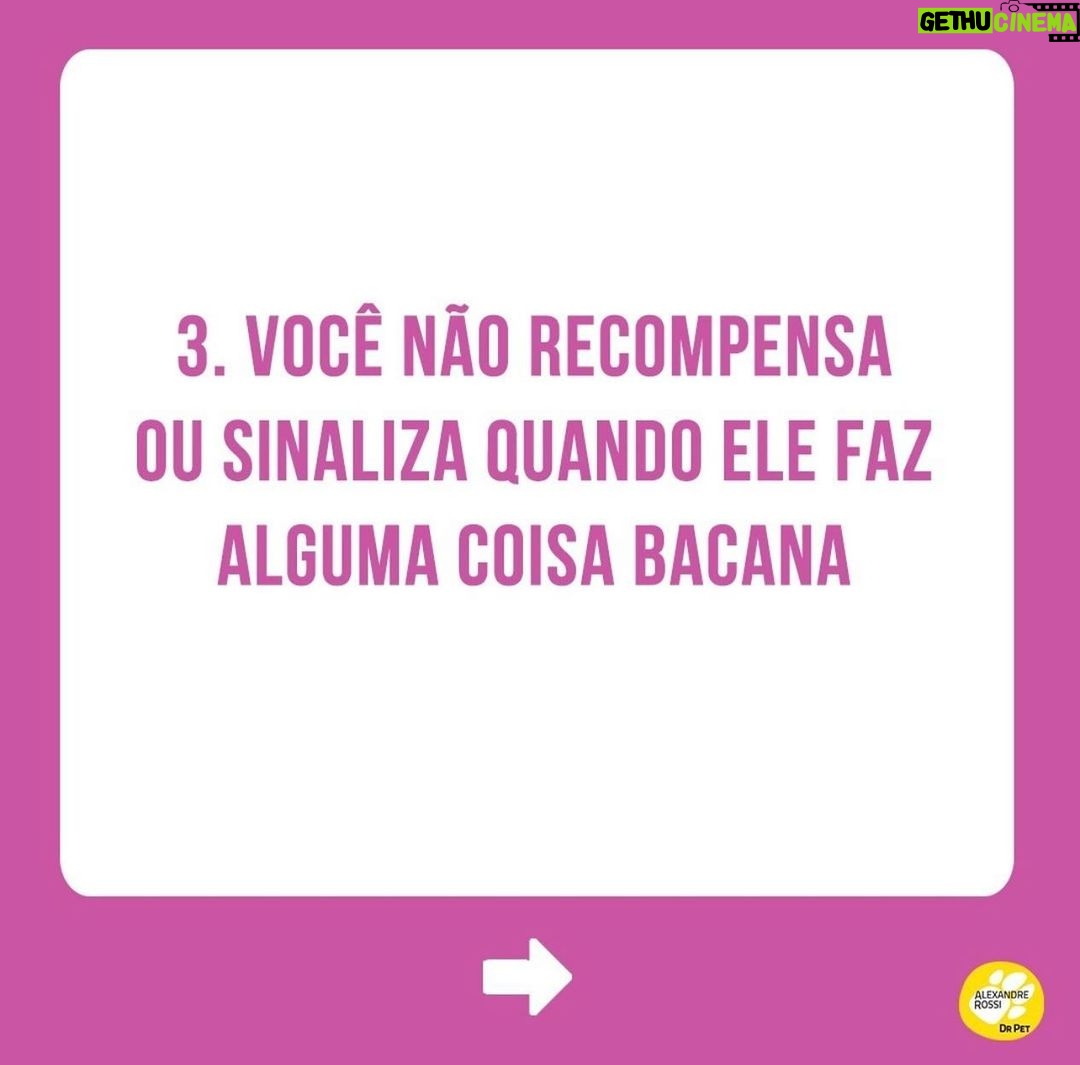 Alexandre Rossi Instagram - E aí, se identificou? rs Pois é, muita gente me procura dizendo que tem um pet desobediente, mas nunca separou um tempo pra educar o pet de uma forma que ele entenda. Precisamos lembrar que eles são como crianças, chegam sem saber o que é certo ou errado, e cabe a nós ensinarmos, com paciência e persistência. Uma dica é: sempre recompense os bons comportamentos do seu pet, de preferência com um petisco. ➡️Quer saber mais sobre como educar seu pet de uma forma simples e eficiente? Vem ser meu aluno no meu curso de educação de cães. O link está bio. : #alexandrerossi #drpet #comportamentoanimal #saudeanimal #alimentosproibidos
