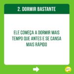 Alexandre Rossi Instagram - Identificou seu cão em algum desses sinais? Se sim, saiba que ele está envelhecendo! Mas calma, isso não é algo ruim, faz parte do ciclo da vida, e os pets podem envelhecer e continuar tendo uma vida boa e saudável, como o @barthooficial. Quem me acompanha por aqui sabe que ele é um idoso cheia de energia e ansiedade, ama ganhar gente, ganhar carinho e estar no meio da bagunça. Pra garantir que isso se mantenha por muitos anos, reforcei os cuidados com a alimentação dele, estou de olho na intensidade das atividades físicas, criando alternativas para ele não derrapar tanto em casa e sempre fazendo check-ups no @seres. Não é porque o seu pet está ficando idoso que ele não pode ter bem-estar e muita qualidade de vida! : #alexandrerossi #drpet #idosos #envelhecimentopet #cachorro #cachorroidoso #estopinha