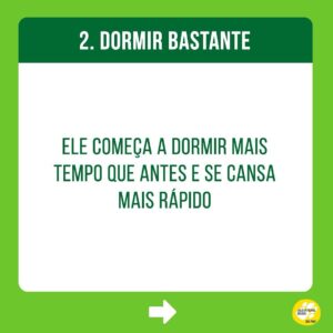 Alexandre Rossi Instagram - Identificou seu cão em algum desses sinais? Se sim, saiba que ele está envelhecendo! 

Mas calma, isso não é algo ruim, faz parte do ciclo da vida, e os pets podem envelhecer e continuar tendo uma vida boa e saudável, como o @barthooficial.

Quem me acompanha por aqui sabe que ele é um idoso cheia de energia e ansiedade, ama ganhar gente, ganhar carinho e estar no meio da bagunça. Pra garantir que isso se mantenha por muitos anos, reforcei os cuidados com a alimentação dele, estou de olho na intensidade das atividades físicas, criando alternativas para ele não derrapar tanto em casa e sempre fazendo check-ups no @seres. 

Não é porque o seu pet está ficando idoso que ele não pode ter bem-estar e muita qualidade de vida!
: 
#alexandrerossi #drpet #idosos #envelhecimentopet #cachorro #cachorroidoso #estopinha