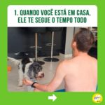 Alexandre Rossi Instagram - Identificou seu pet em algum desses? Se sim, não se desespere! Os cães são animais que gostam de companhia, por isso, muitos acabam sofrendo quando precisam ficar sozinhos. Mas existem estratégias que podem ajudar seu cão e amenizar o problema. Uma delas é associar sua saída a algo que ele goste muito, como um osso de nylon pra roer ou um caça ao petisco. ➡️ E se você quer saber mais sobre o que fazer, venha ser meu aluno no curso “Ansiedade de separação: como treinar meu cachorro pra ficar tranquilo sozinho em casa”. O link está na bio! : #drpet #alexandrerossi#comportamentoanimal #ansiedadedeseparação #cachorro