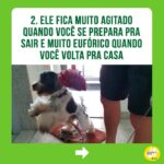 Alexandre Rossi Instagram - Identificou seu pet em algum desses? Se sim, não se desespere! Os cães são animais que gostam de companhia, por isso, muitos acabam sofrendo quando precisam ficar sozinhos. Mas existem estratégias que podem ajudar seu cão e amenizar o problema. Uma delas é associar sua saída a algo que ele goste muito, como um osso de nylon pra roer ou um caça ao petisco. ➡️ E se você quer saber mais sobre o que fazer, venha ser meu aluno no curso “Ansiedade de separação: como treinar meu cachorro pra ficar tranquilo sozinho em casa”. O link está na bio! : #drpet #alexandrerossi#comportamentoanimal #ansiedadedeseparação #cachorro
