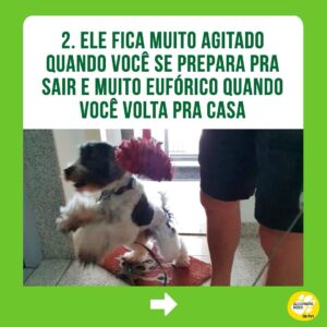 Alexandre Rossi Instagram - Identificou seu pet em algum desses?

Se sim, não se desespere! Os cães são animais que gostam de companhia, por isso, muitos acabam sofrendo quando precisam ficar sozinhos. 

Mas existem estratégias que podem ajudar seu cão e amenizar o problema. Uma delas é associar sua saída a algo que ele goste muito, como um osso de nylon pra roer ou um caça ao petisco.

➡️ E se você quer saber mais sobre o que fazer, venha ser meu aluno no curso “Ansiedade de separação: como treinar meu cachorro pra ficar tranquilo sozinho em casa”. O link está na bio!
:
#drpet #alexandrerossi#comportamentoanimal #ansiedadedeseparação #cachorro