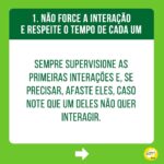 Alexandre Rossi Instagram - Adotar um filhote pode ser algo desafiador, ainda mais pra quem já tem um cão mais velho em casa. Afinal, o mais velho provavelmente não pediu alguém pra dividir a casa, a atenção e mudar a rotina dele, rs. Por isso, hoje eu trouxe 3 dicas que podem te ajudar a criar uma relação saudável entre seu filhote e o cão que já era “dono da casa”. ➡️E pra saber mais sobre como educar seu filhote, vem ser meu aluno no meu curso de filhotes. O link está na bio. : #alexandrerossi #drpet #filhote #cachorro #socializacao #comportamentoanimal #adestramentointeligente