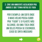 Alexandre Rossi Instagram - Adotar um filhote pode ser algo desafiador, ainda mais pra quem já tem um cão mais velho em casa. Afinal, o mais velho provavelmente não pediu alguém pra dividir a casa, a atenção e mudar a rotina dele, rs. Por isso, hoje eu trouxe 3 dicas que podem te ajudar a criar uma relação saudável entre seu filhote e o cão que já era “dono da casa”. ➡️E pra saber mais sobre como educar seu filhote, vem ser meu aluno no meu curso de filhotes. O link está na bio. : #alexandrerossi #drpet #filhote #cachorro #socializacao #comportamentoanimal #adestramentointeligente