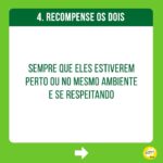 Alexandre Rossi Instagram - Adotar um filhote pode ser algo desafiador, ainda mais pra quem já tem um cão mais velho em casa. Afinal, o mais velho provavelmente não pediu alguém pra dividir a casa, a atenção e mudar a rotina dele, rs. Por isso, hoje eu trouxe 3 dicas que podem te ajudar a criar uma relação saudável entre seu filhote e o cão que já era “dono da casa”. ➡️E pra saber mais sobre como educar seu filhote, vem ser meu aluno no meu curso de filhotes. O link está na bio. : #alexandrerossi #drpet #filhote #cachorro #socializacao #comportamentoanimal #adestramentointeligente
