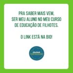 Alexandre Rossi Instagram - Adotar um filhote pode ser algo desafiador, ainda mais pra quem já tem um cão mais velho em casa. Afinal, o mais velho provavelmente não pediu alguém pra dividir a casa, a atenção e mudar a rotina dele, rs. Por isso, hoje eu trouxe 3 dicas que podem te ajudar a criar uma relação saudável entre seu filhote e o cão que já era “dono da casa”. ➡️E pra saber mais sobre como educar seu filhote, vem ser meu aluno no meu curso de filhotes. O link está na bio. : #alexandrerossi #drpet #filhote #cachorro #socializacao #comportamentoanimal #adestramentointeligente