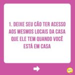 Alexandre Rossi Instagram - Se o seu cão tem dificuldade em ficar sozinho, saiba que isso é mais comum do que você imagina! Infelizmente, a maioria dos cães hoje em dia apresenta algum grau de ansiedade de separação, o que pode causar destruição de móveis e objetos, latidos, choros e uivos, e até xixi e cocô no lugar errado. Por isso, hoje eu trouxe 5 coisas que podem ajudar seu cão que sofre com isso! Vem conferir. E pra saber mais, te convido a conhecer os meus cursos de educação de pets, incluindo um exclusivo de ansiedade de separação. Os links estão na bio! : #alexandrerossi #drpet #ansiedadedeseparação #comportamentoanimal #adestramentointeligente #adestramentopositivo