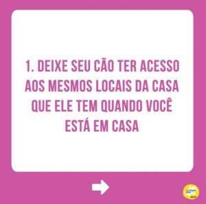 Alexandre Rossi Instagram - Se o seu cão tem dificuldade em ficar sozinho, saiba que isso é mais comum do que você imagina!

Infelizmente, a maioria dos cães hoje em dia apresenta algum grau de ansiedade de separação, o que pode causar destruição de móveis e objetos, latidos, choros e uivos, e até xixi e cocô no lugar errado.

Por isso, hoje eu trouxe 5 coisas que podem ajudar seu cão que sofre com isso! Vem conferir.

E pra saber mais, te convido a conhecer os meus cursos de educação de pets, incluindo um exclusivo de ansiedade de separação. Os links estão na bio!
:
#alexandrerossi #drpet #ansiedadedeseparação #comportamentoanimal #adestramentointeligente #adestramentopositivo