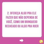 Alexandre Rossi Instagram - Se o seu cão tem dificuldade em ficar sozinho, saiba que isso é mais comum do que você imagina! Infelizmente, a maioria dos cães hoje em dia apresenta algum grau de ansiedade de separação, o que pode causar destruição de móveis e objetos, latidos, choros e uivos, e até xixi e cocô no lugar errado. Por isso, hoje eu trouxe 5 coisas que podem ajudar seu cão que sofre com isso! Vem conferir. E pra saber mais, te convido a conhecer os meus cursos de educação de pets, incluindo um exclusivo de ansiedade de separação. Os links estão na bio! : #alexandrerossi #drpet #ansiedadedeseparação #comportamentoanimal #adestramentointeligente #adestramentopositivo
