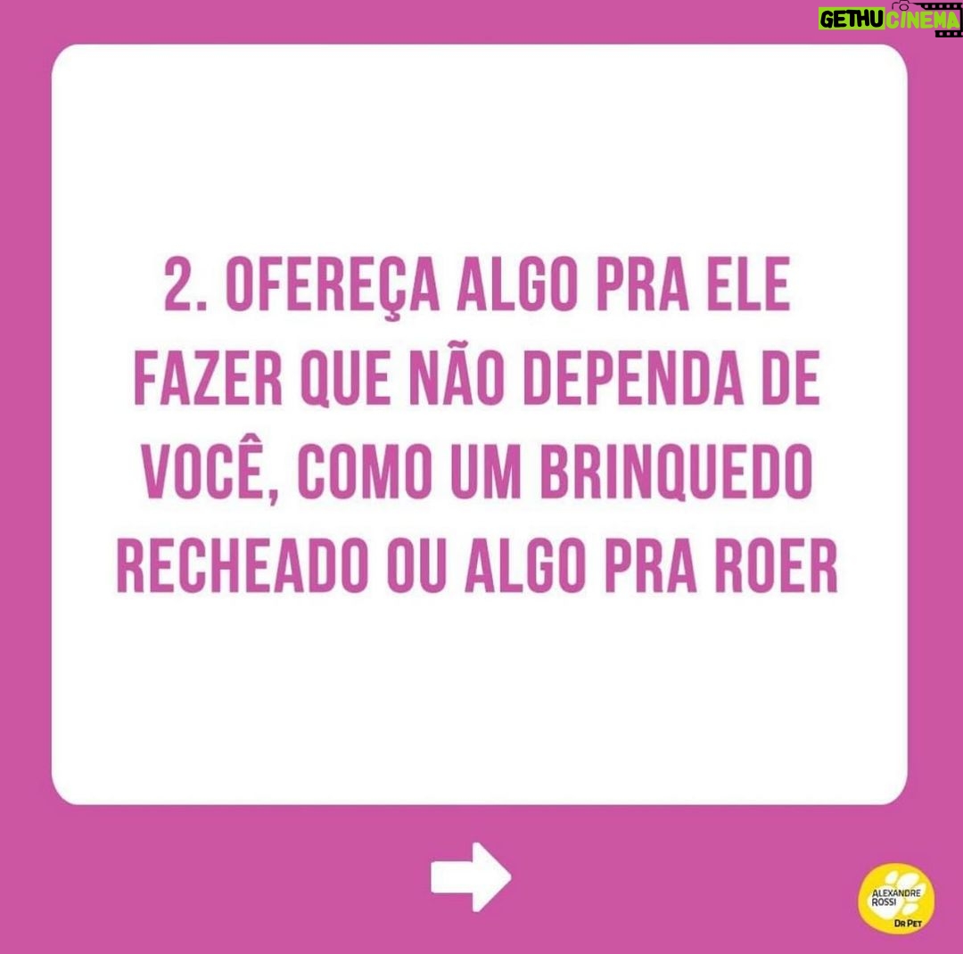 Alexandre Rossi - 6.2K Likes - Se o seu cão tem dificuldade em ficar sozinho, saiba que isso é mais comum do que você imagina!
Infelizmente, a maioria dos cães hoje em dia apresenta algum grau de ansiedade de separação, o que pode causar destruição de móveis e objetos, latidos, choros e uivos, e até xixi e cocô no lugar errado.
Por isso, hoje eu trouxe 5 coisas que podem ajudar seu cão que sofre com isso! Vem conferir.
E pra saber mais, te convido a conhecer os meus cursos de educação de pets, incluindo um exclusivo de ansiedade de separação. Os links estão na bio!
:
#alexandrerossi #drpet #ansiedadedeseparação #comportamentoanimal #adestramentointeligente #adestramentopositivo