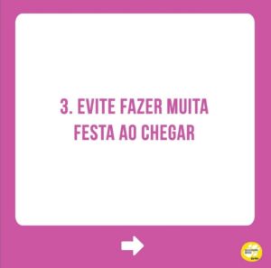 Alexandre Rossi Instagram - Se o seu cão tem dificuldade em ficar sozinho, saiba que isso é mais comum do que você imagina!

Infelizmente, a maioria dos cães hoje em dia apresenta algum grau de ansiedade de separação, o que pode causar destruição de móveis e objetos, latidos, choros e uivos, e até xixi e cocô no lugar errado.

Por isso, hoje eu trouxe 5 coisas que podem ajudar seu cão que sofre com isso! Vem conferir.

E pra saber mais, te convido a conhecer os meus cursos de educação de pets, incluindo um exclusivo de ansiedade de separação. Os links estão na bio!
:
#alexandrerossi #drpet #ansiedadedeseparação #comportamentoanimal #adestramentointeligente #adestramentopositivo